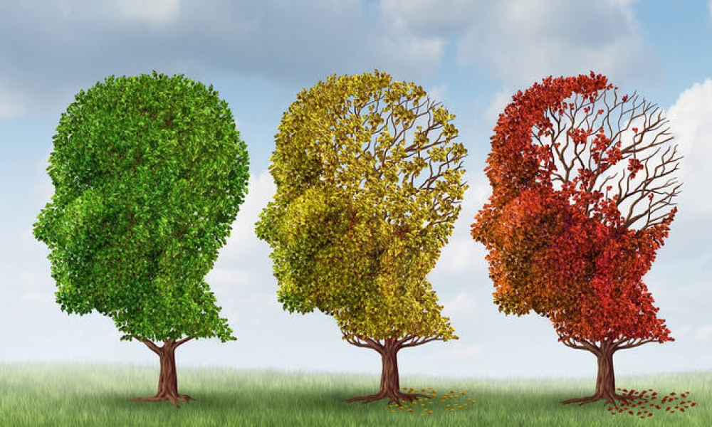 Journée mondiale Alzheimer : repenser le bien vieillir, ensemble